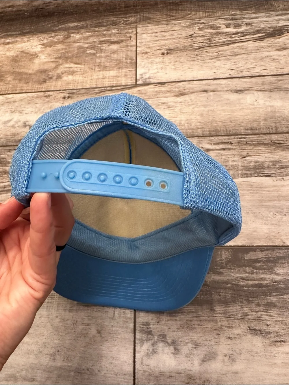 Desert Hot Springs Light Blue Trucker Cap with Bird Graphic
